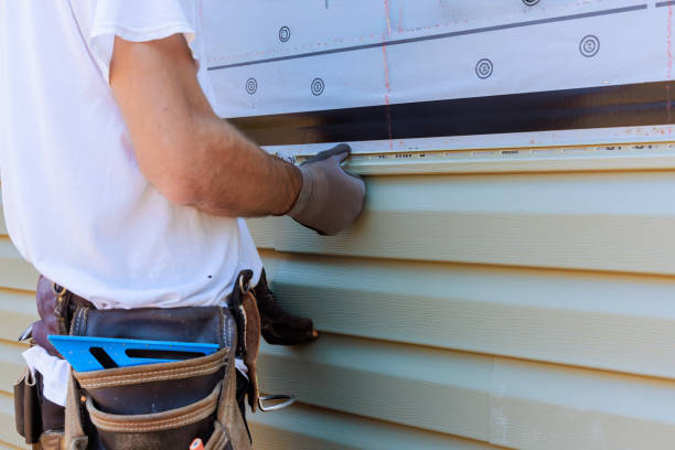 Affordable Siding Repair solutions in Cary, IL